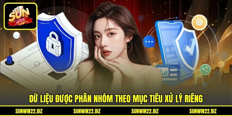 Dữ liệu được phân nhóm theo mục tiêu xử lý riêng